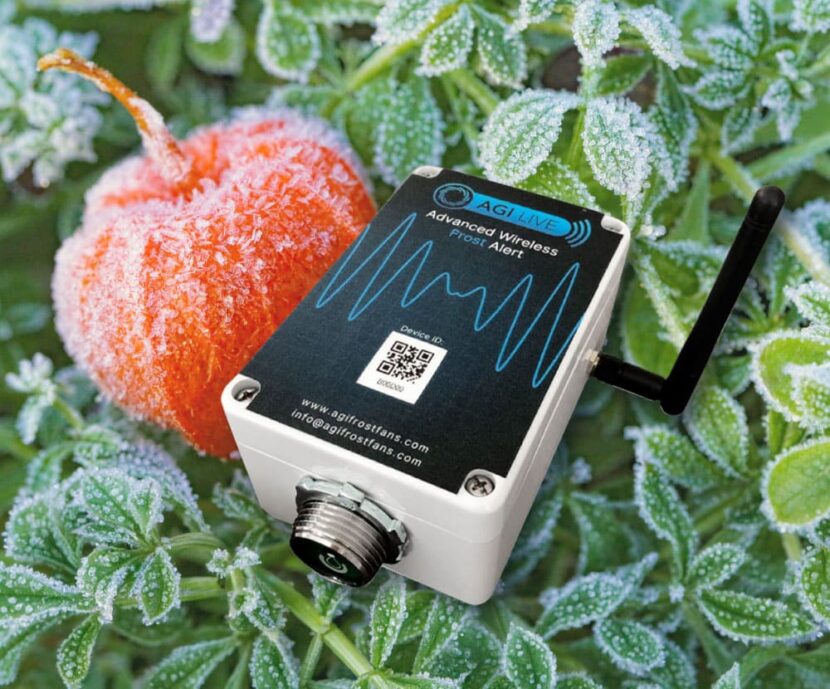 Frost Alert Sensor